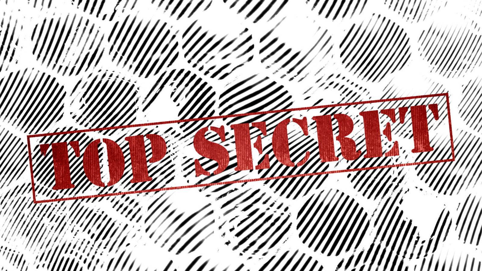 Leaked: Bee Gear Interview from Apis Tactical