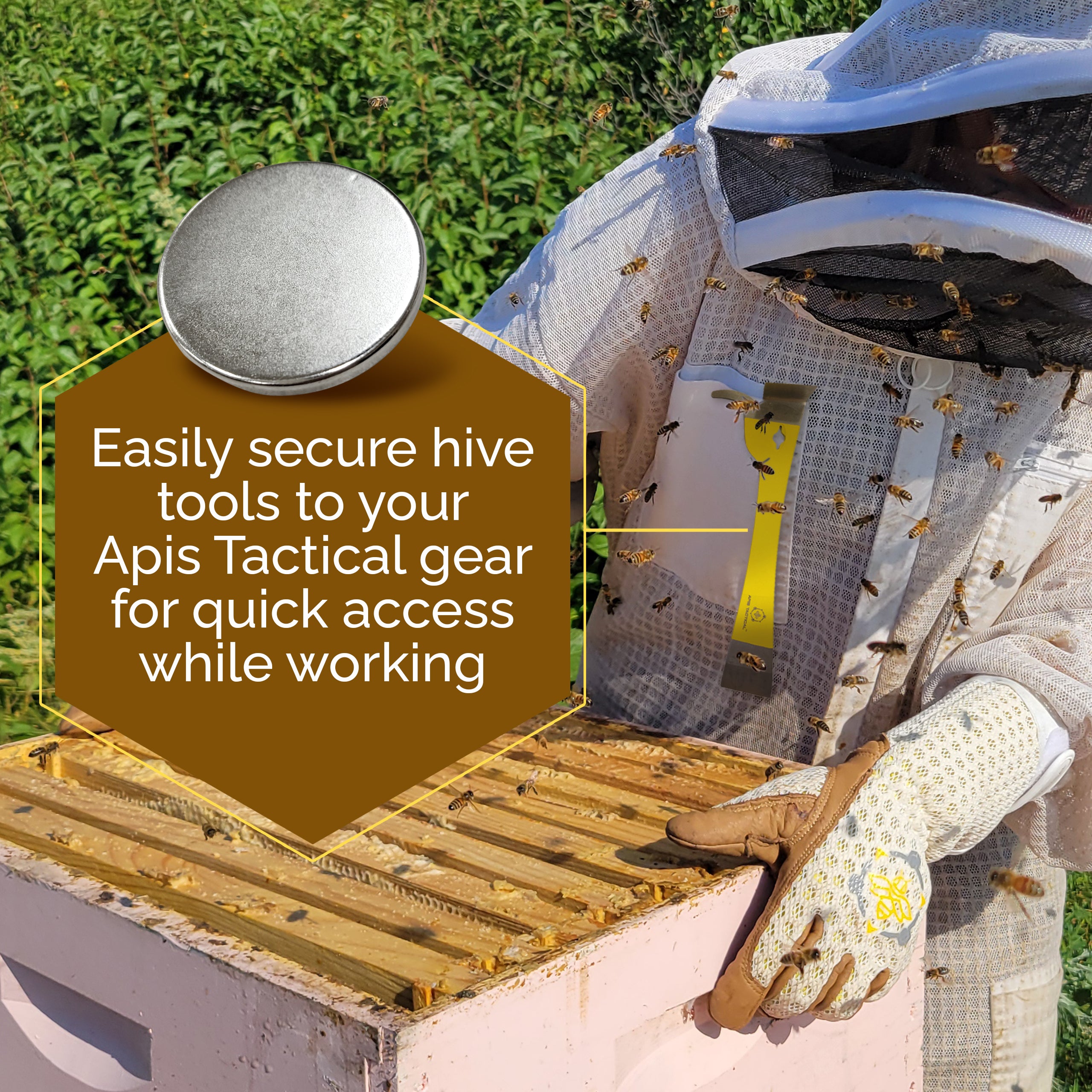 Apis Tactical - Neodymium Magnet Accessory Kit - N52 Small, Circular Magnetic Discs - Strong Magnets 6 Pack